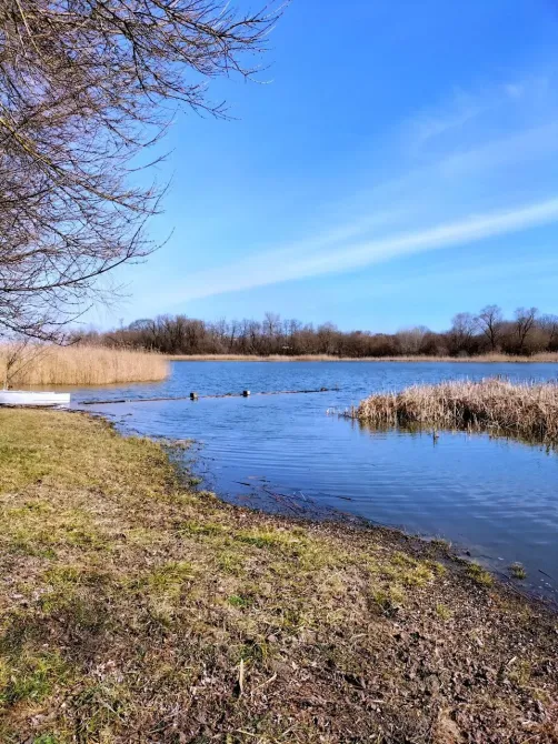 Продажа земельного участка Для строительства частного жилого дома площадь 15 сот село Миколаївка Днепр - изображение 1