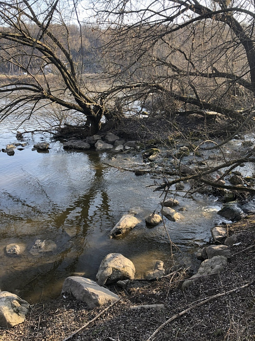 Продаж земельної ділянки 20 соток  - фото 3