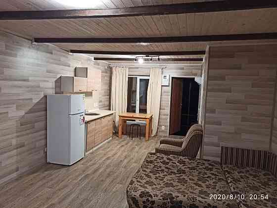 Оренда Квартира 1-кімнатна, 2/2 поверх на переулок Квитки-Основьяненко, 7 Kiev