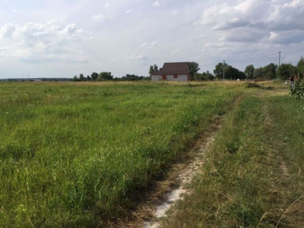 Продаж земельної ділянки 25 соток Лебедин - фото 1