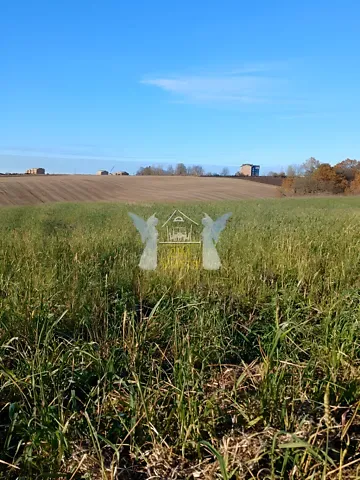 Продажа земельного участка  площадь 16 сот Зелена вулиця 1  - изображение 3