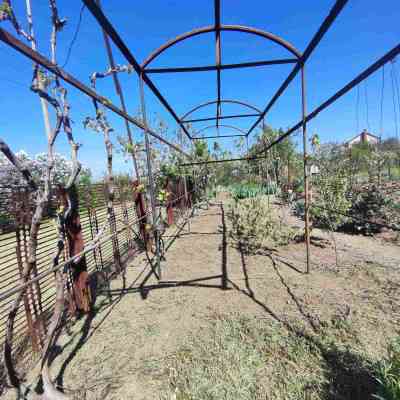 Продаж земельної ділянки 0.1 соток на СТ Межлиманье ( ул. Виноградная), 467 Протопоповка