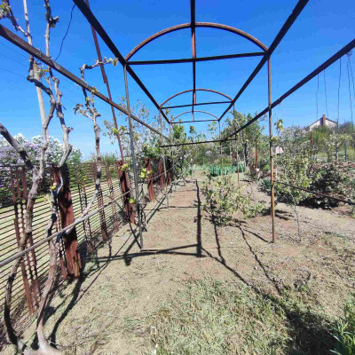 Продаж земельної ділянки 0.1 соток на СТ Межлиманье ( ул. Виноградная), 467 Протопоповка - изображение 2