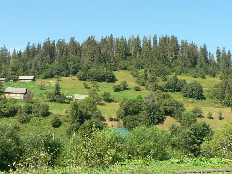 Продаж База відпочинку / готель площа 492 кв.м на захар беркут Славське - фото 8