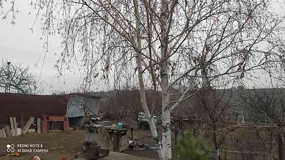 Большой хозяйский дом на 23 сотках! Августівка