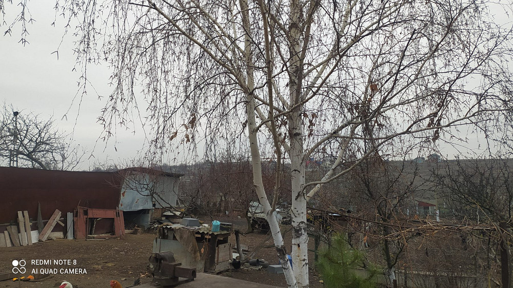 Большой хозяйский дом на 23 сотках! Августівка - фото 4