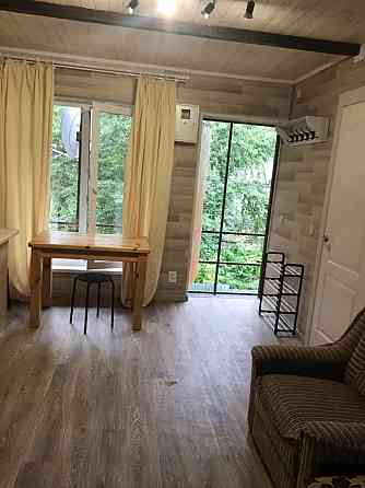 Оренда Квартира 1-кімнатна, 2/2 поверх на переулок Квитки-Основьяненко, 7 Kiev