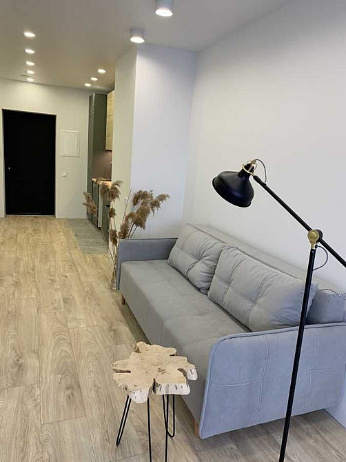 Оренда Квартира 1-кімнатна, 5/25 поверх на ул. Елены Телиги Київ - фото 1