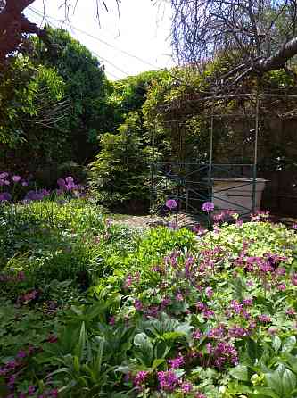 Дом в городской черте. Одеса