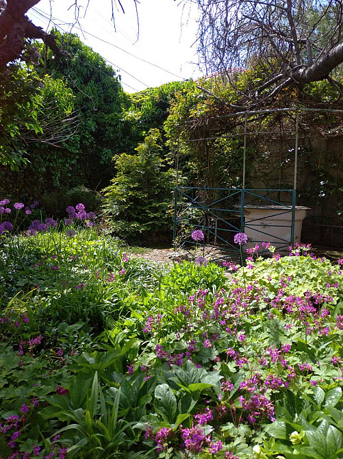 Дом в городской черте. Одеса - фото 2