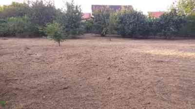 Продаж земельної ділянки 6.5 соток на ул. Новороссийская, 13/6 Лиманка