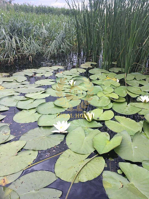 Продаж 3-поверхового будинку с. Кийлів, Бориспільський район Кийлів - фото 17