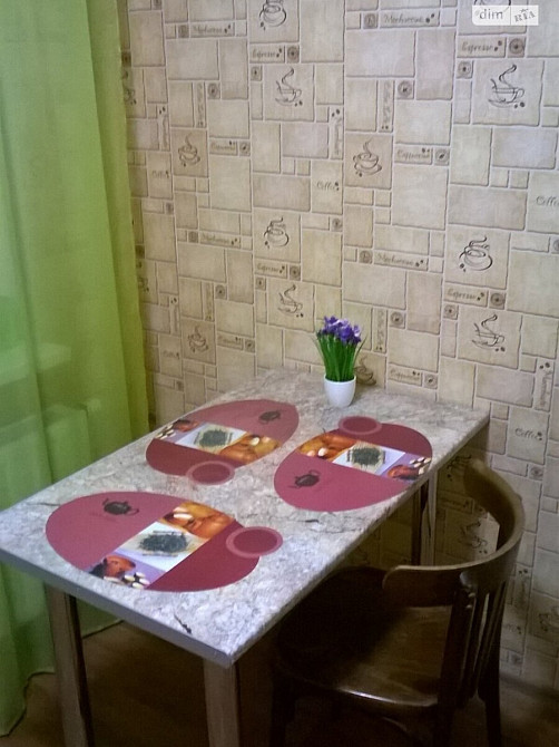 Оренда Квартира 1-кімнатна, 6/25 поверх на Софії Русової, 1 Київ - фото 4