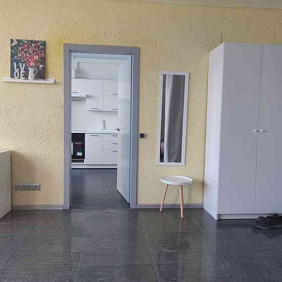 Оренда Квартира 1-кімнатна, 2/18 поверх на проспект Миколи Бажана, 14 Київ