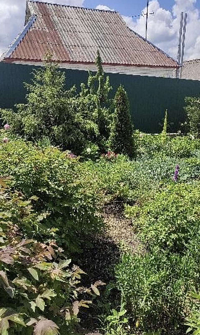 Дом в Великом Дальнике. Великий Дальник - фото 20