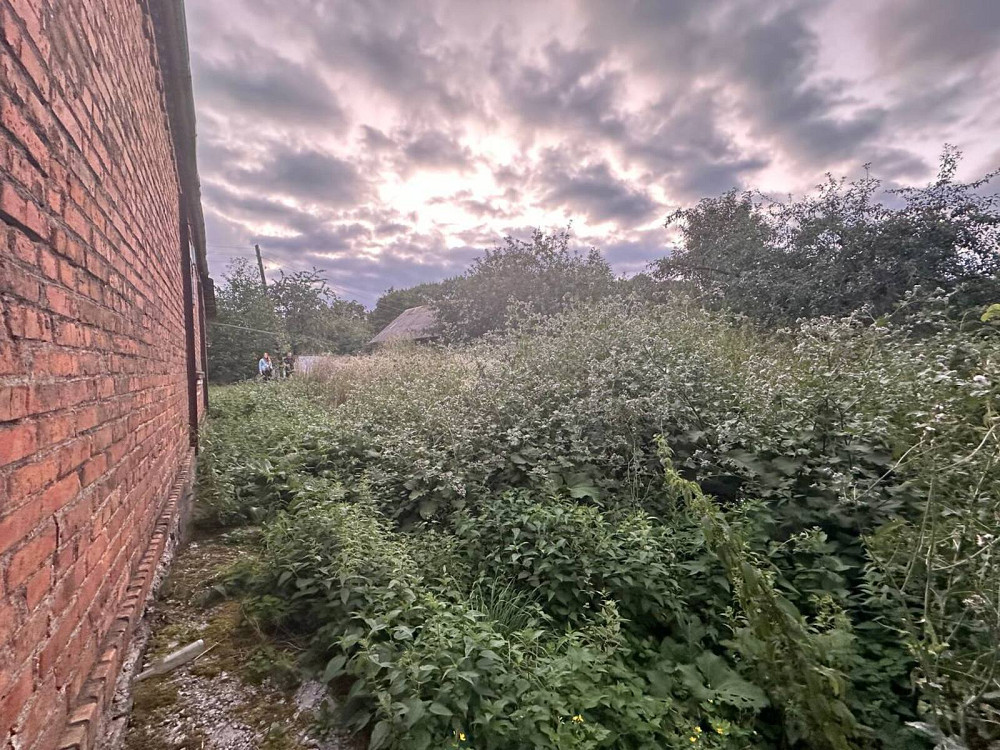 Продаж Будинок на Вишнева Дашківці - фото 3