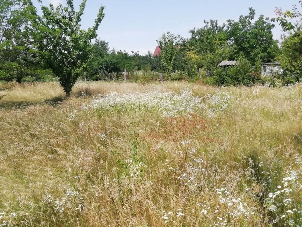 Продаж земельної ділянки 10 соток Кропивницький - фото 7