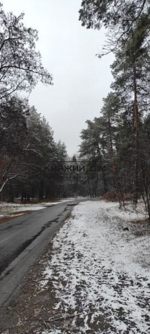 Продаж земельної ділянки 16 соток Protsiv - photo 10