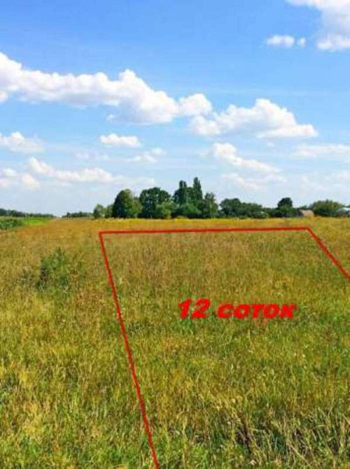 Продаж земельної ділянки 12 соток  - фото 1