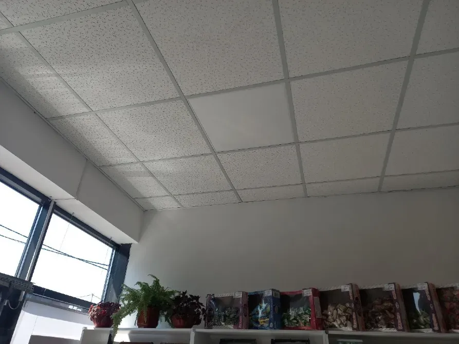 Здається Магазин / салон / торгова точка площа 18 кв.м  Дніпро  Дніпро - фото 4