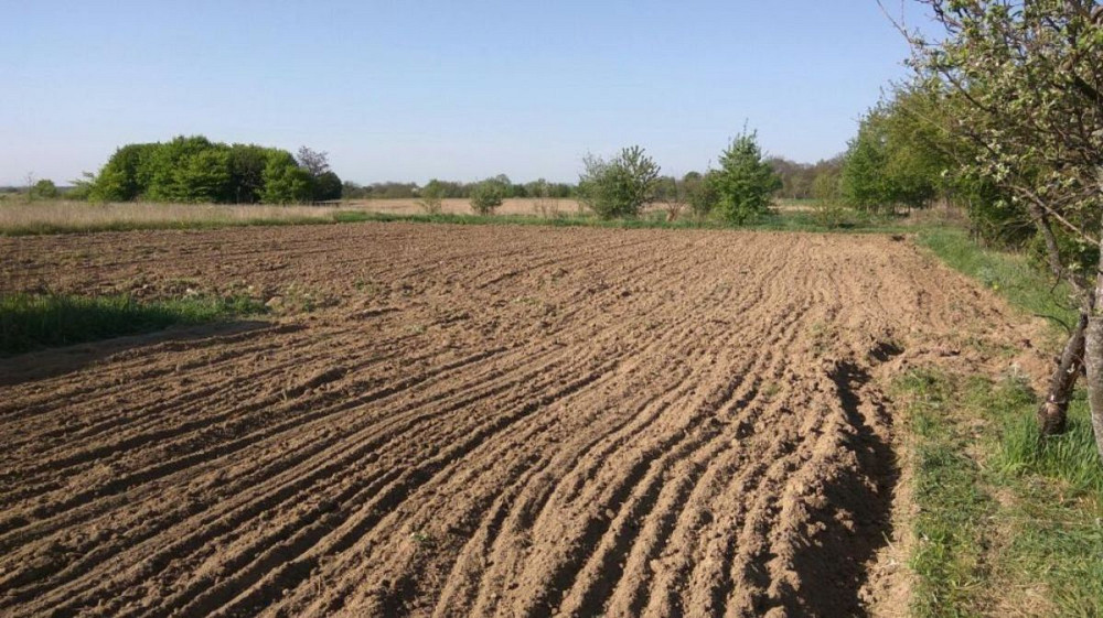 Продаж земельної ділянки 10 соток  - фото 1