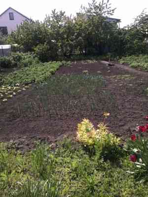 Продаж земельної ділянки 0 соток на ул. Тульская, 27 Odessa