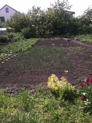 Продаж земельної ділянки 0 соток на ул. Тульская, 27 Одеса - фото 2