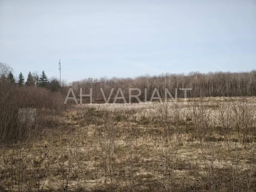 Продаж земельної ділянки Для сільськогосподарської діяльності площа 1191 сот Польова Середнє - фото 3