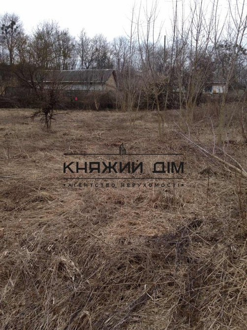 Продаж земельної ділянки 25 соток Mala Vilshanka (Bilotserkivskyi raion) - photo 6