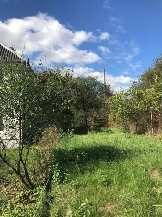 Продажа 2-этажный Дача с участком 4 сот 43.5 кв.м 2 комн. на Трояндова Клузев - изображение 16