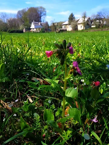 For sale land plot  area 18 ares Івана Франка бічна вулиця  - photo 2