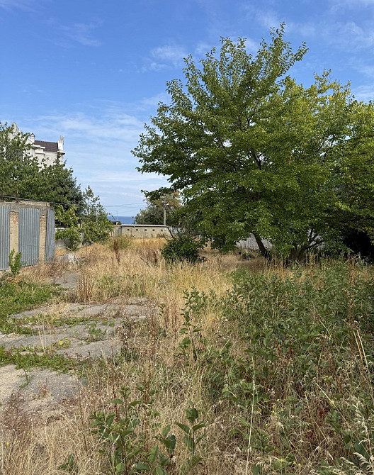 Аркадия участок 13 соток Одеса - фото 3