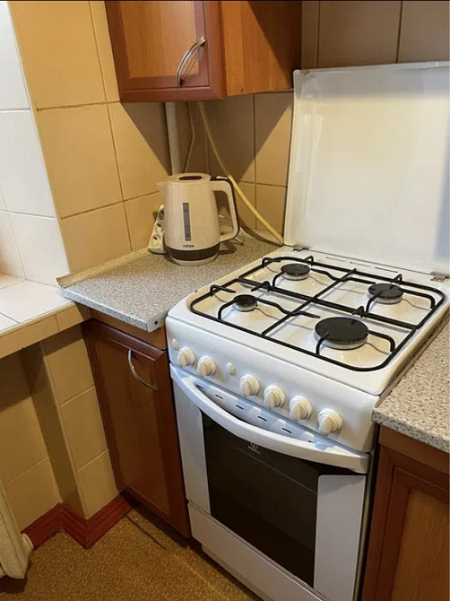 Оренда Квартира 1-кімнатна, 4/9 поверх на Олени Теліги, 57 Kiev - photo 4