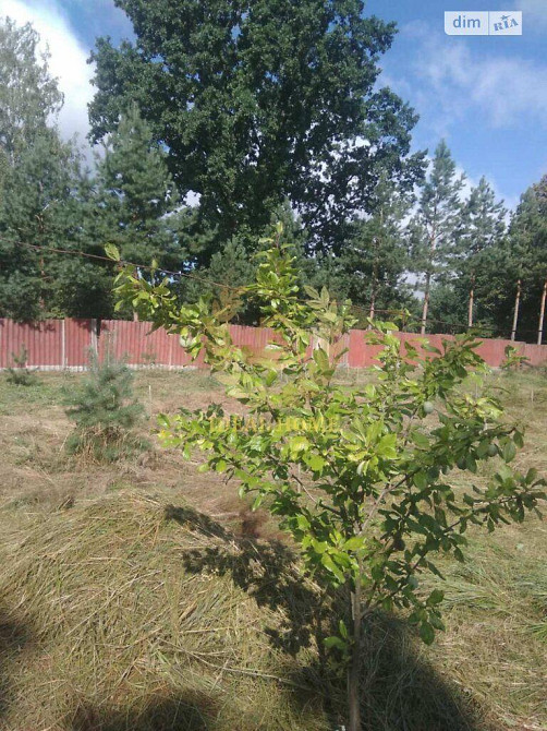 Продаж Будинок 5-кімнатний Хлепча - фото 8