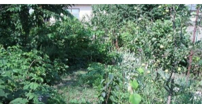 Продаж земельної ділянки 0.1 соток на ул. Фонтанская дорога, 42а Одеса - фото 2