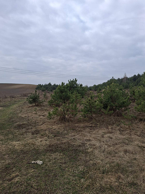 Продаж земельної ділянки 12 соток Kremenets' - photo 3