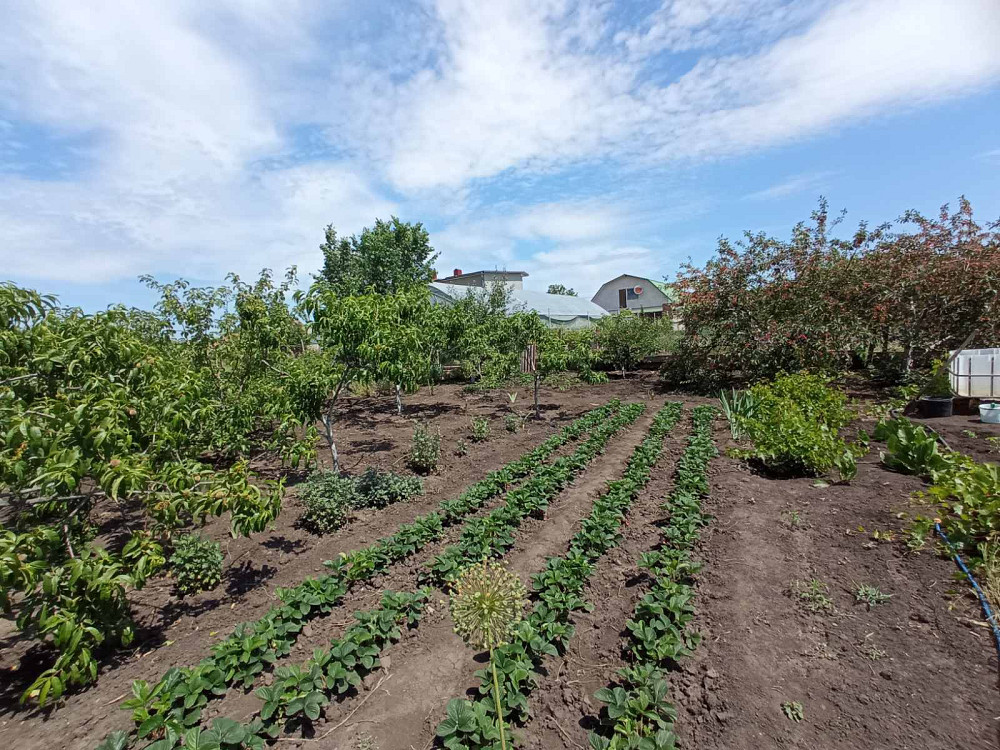 Продается дом в с. Дачное. Дачне - фото 5