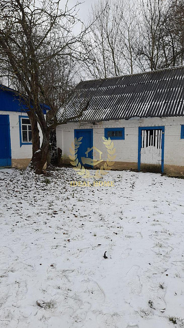 Продам будинок в селаі Єлізаветівка, Єлизаветівка - фото 3