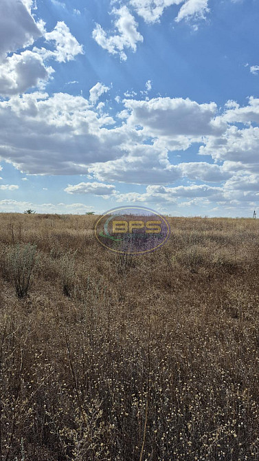 Продаж земельної ділянки 3.64 га Прилиманське - фото 6