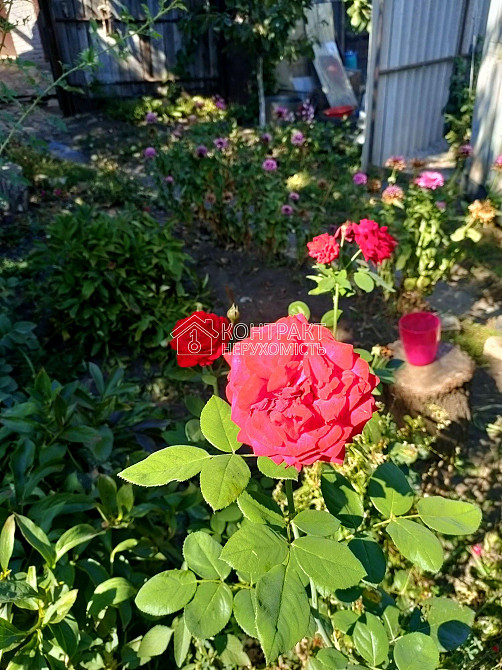 Продаж Будинок 4-кімнатний на вул. Західна  - фото 7