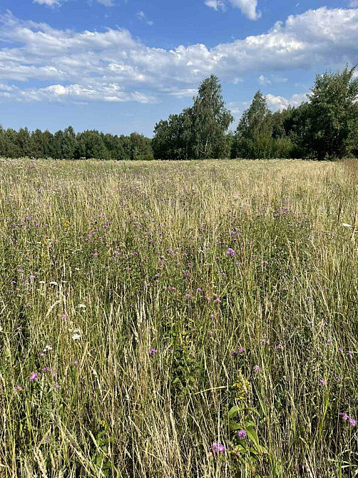 Продаж земельної ділянки 25 соток на Щорса Verbovets - photo 5