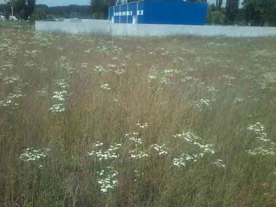 Продаж земельної ділянки 3.39 га 