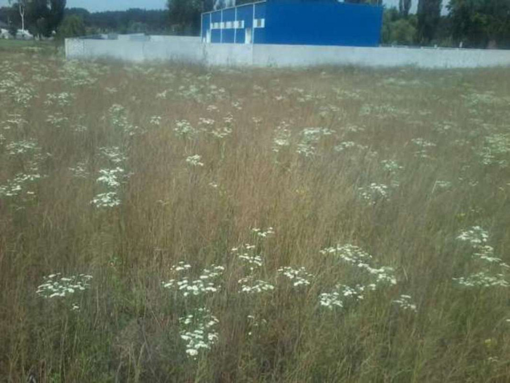 Продаж земельної ділянки 3.39 га  - фото 3