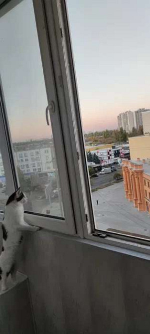 Продаж Квартира 5-кімнатна, 8/9 поверх на Инглези улица Одеса - фото 17