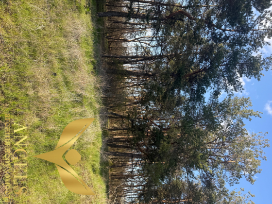 Продаж земельної ділянки Для будівництва приватного житлового будинку площа 9.1 сот H73C+J5, Кіровоградська міськрада, Кіровоградська область, 25000 Кропивницький