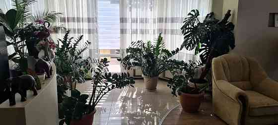 Просторный дом на 10 сотках земли, 7 ст. Большого Фонтана Одеса