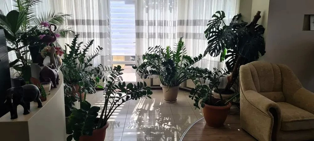 Просторный дом на 10 сотках земли, 7 ст. Большого Фонтана Одеса - фото 4