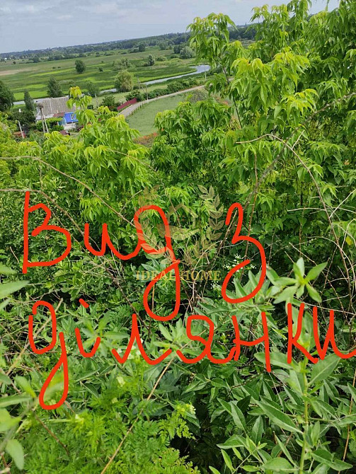 Продаж земельної ділянки 45 соток на Леси Украинки ул., 24  - фото 5