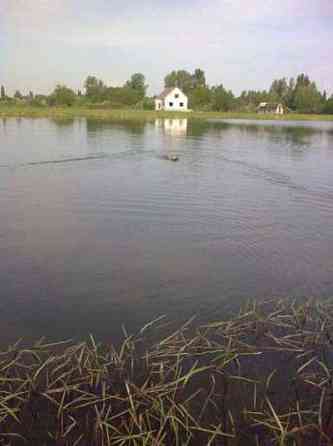 Продаж земельної ділянки 20 соток 