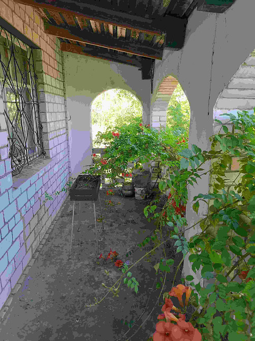 Продам капитальный дом на берегу Хаджибеевского лимана  (с.Бурдовка,  Раздельнянский р-н) Бурдівка - фото 16